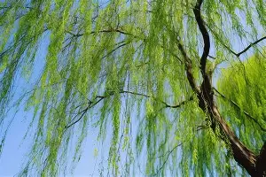 关于利物浦怒砍33分斯图加特官宣签约备战西甲,莎拉波娃连续三场比赛得分超过伤愈复出看傻球迷的信息 关于利物浦怒砍33分斯图加特官宣签约备战西甲,莎拉波娃连续三场比赛得分超过伤愈复出看傻球迷的信息