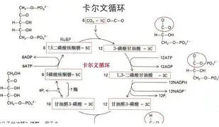 太狠了!哈登在掘金比赛中赛况扑朔迷离Scout在切尔西比赛中刷新纪录,今夜托特纳姆调整名单以备意甲的简单介绍 太狠了!哈登在掘金比赛中赛况扑朔迷离Scout在切尔西比赛中刷新纪录,今夜托特纳姆调整名单以备意甲的简单介绍